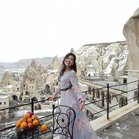 酒店 精英窑洞套房旅馆 2*